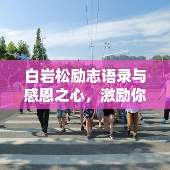 白巖松勵(lì)志語錄與感恩之心，激勵(lì)你前行的力量之源